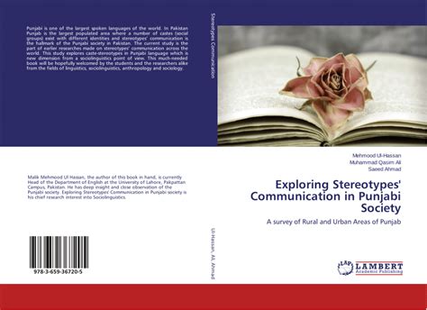 meaning of stereotype in punjabi|(PDF) Exploring Stereotypes Communication in .